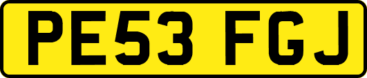 PE53FGJ