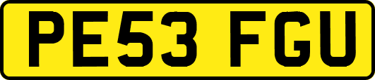 PE53FGU