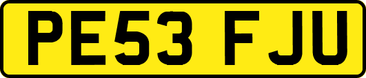 PE53FJU