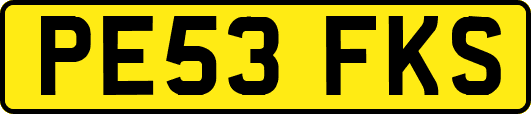 PE53FKS