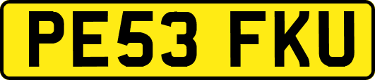 PE53FKU