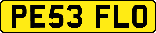 PE53FLO
