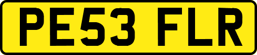 PE53FLR