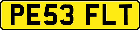 PE53FLT