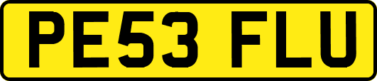 PE53FLU