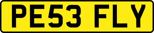 PE53FLY