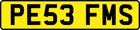 PE53FMS