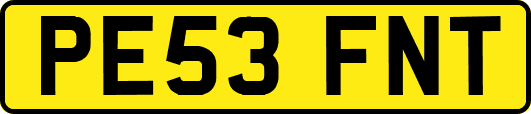 PE53FNT