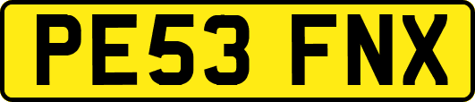 PE53FNX