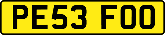 PE53FOO