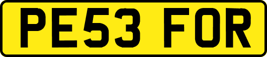 PE53FOR