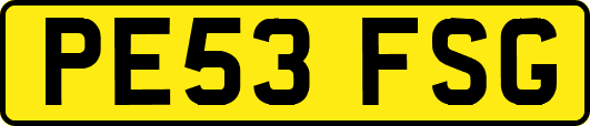 PE53FSG