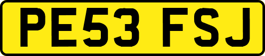 PE53FSJ