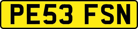 PE53FSN