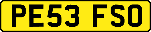 PE53FSO