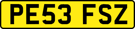 PE53FSZ