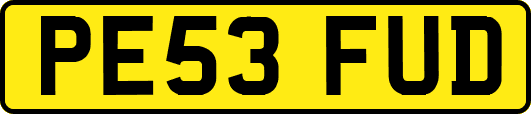 PE53FUD