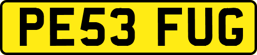 PE53FUG