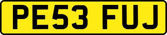 PE53FUJ