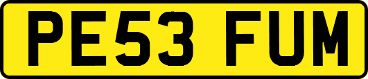 PE53FUM