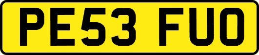 PE53FUO