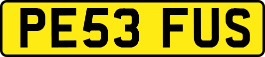 PE53FUS