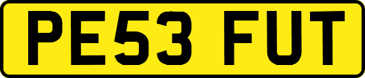 PE53FUT