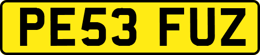 PE53FUZ