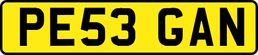 PE53GAN
