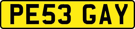 PE53GAY