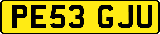 PE53GJU