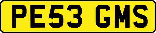 PE53GMS