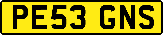 PE53GNS