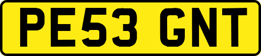 PE53GNT
