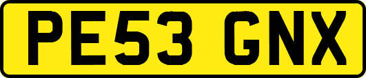 PE53GNX