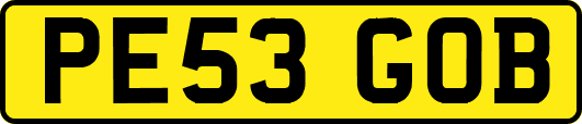 PE53GOB
