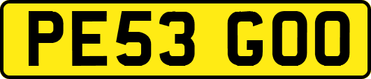 PE53GOO