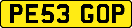 PE53GOP