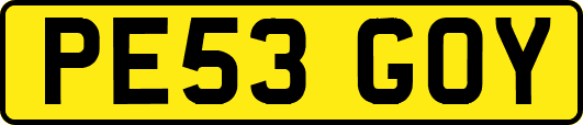 PE53GOY