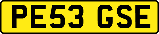 PE53GSE