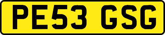 PE53GSG