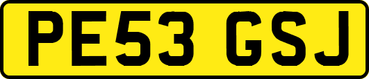 PE53GSJ