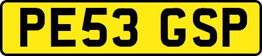 PE53GSP