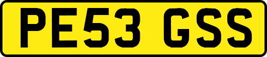 PE53GSS