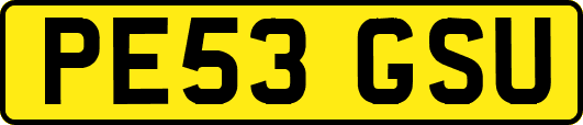 PE53GSU