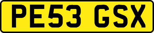 PE53GSX