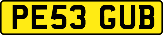 PE53GUB