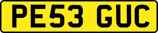 PE53GUC