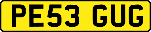PE53GUG