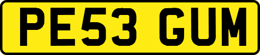 PE53GUM